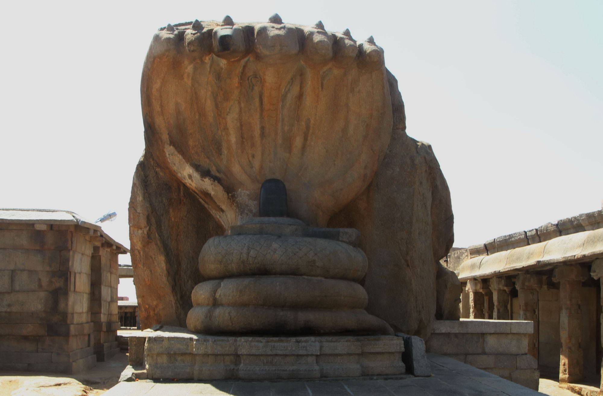 Nâga or the serpent-gods, interlace patterns and knots