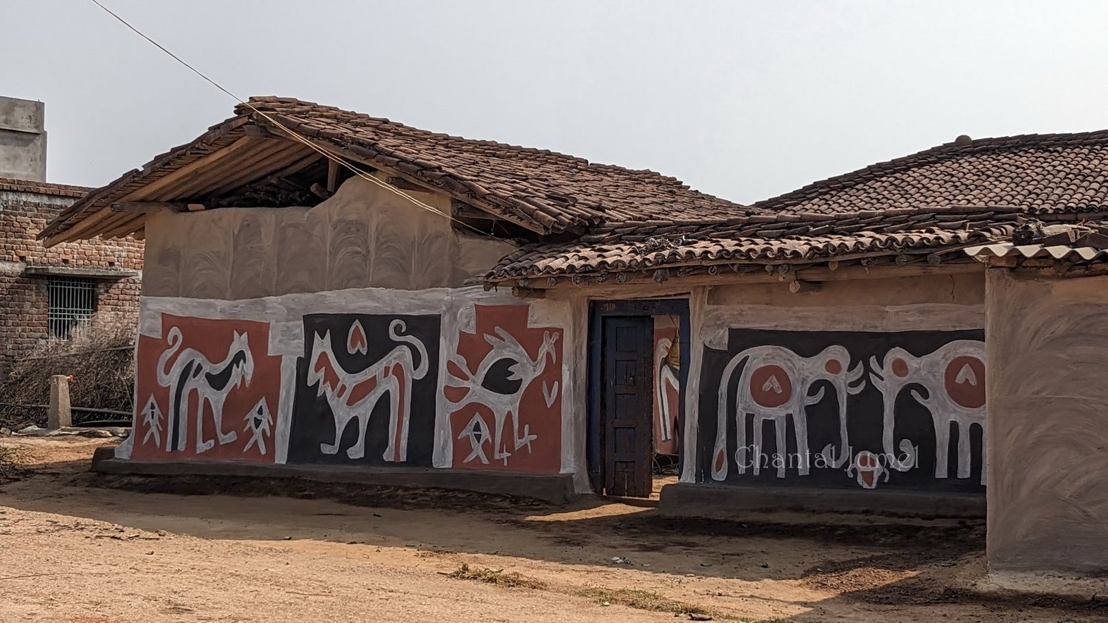 Jharkhand, Hazaribagh "Painting the walls for Sohrai" — part 2