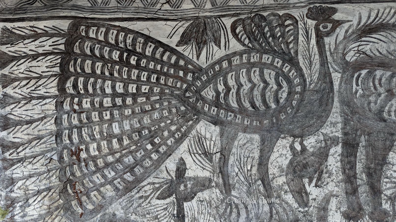 "Du sol aux murs", peintures éphémères de l'Inde