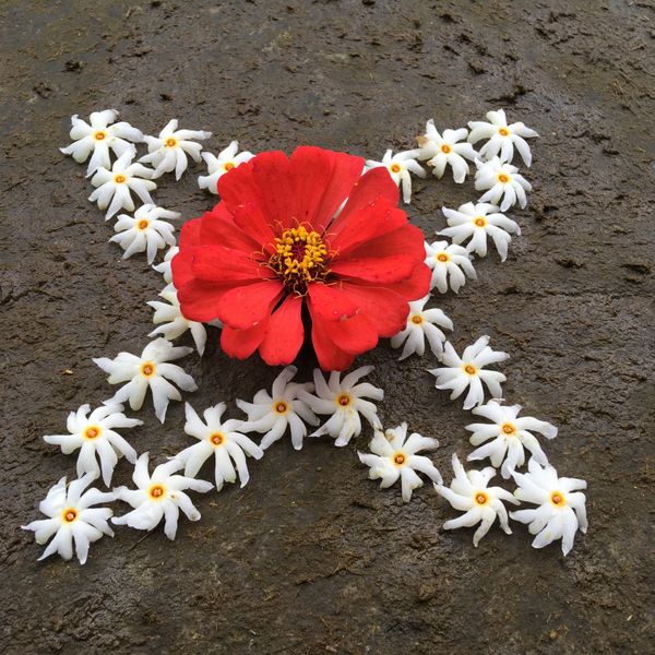 Onam, saying it with flowers — part 2