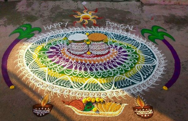Kolam to celebrate Surya Pongal — part 2