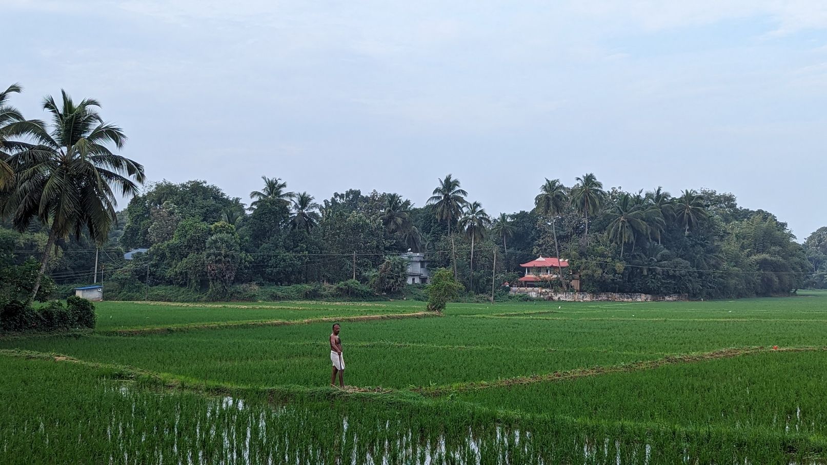 Kalam du Kérala, " En route pour le village de Paruthipulli " — partie 1