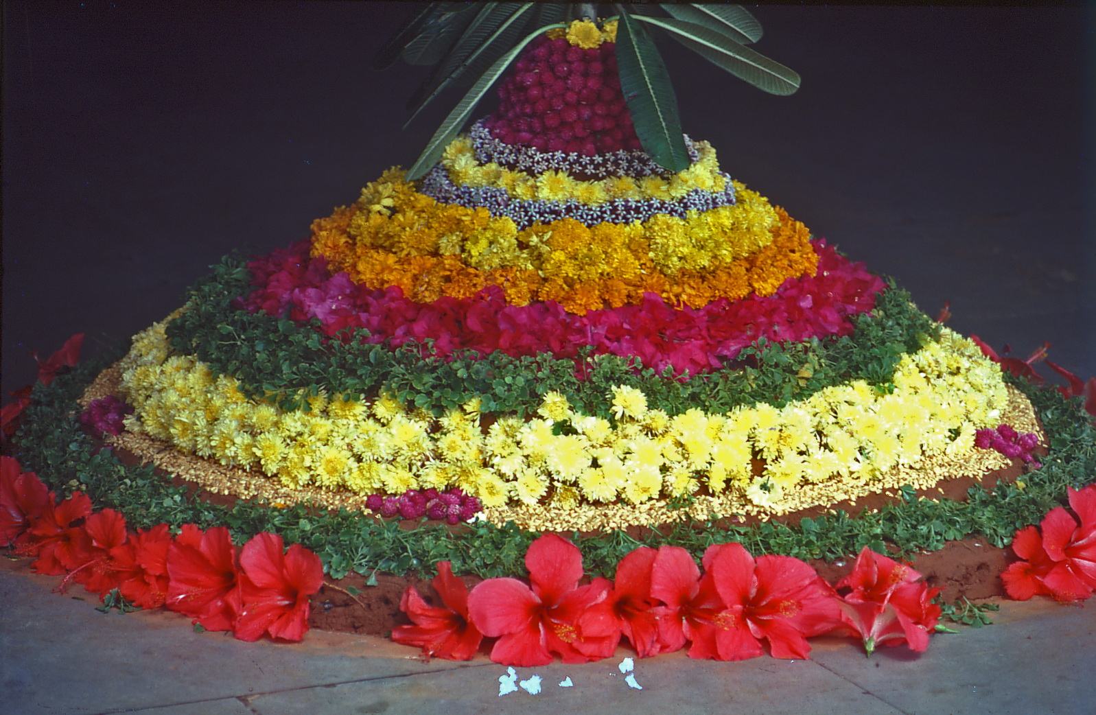 Des tapis de fleurs pour célébrer Onam — partie 1