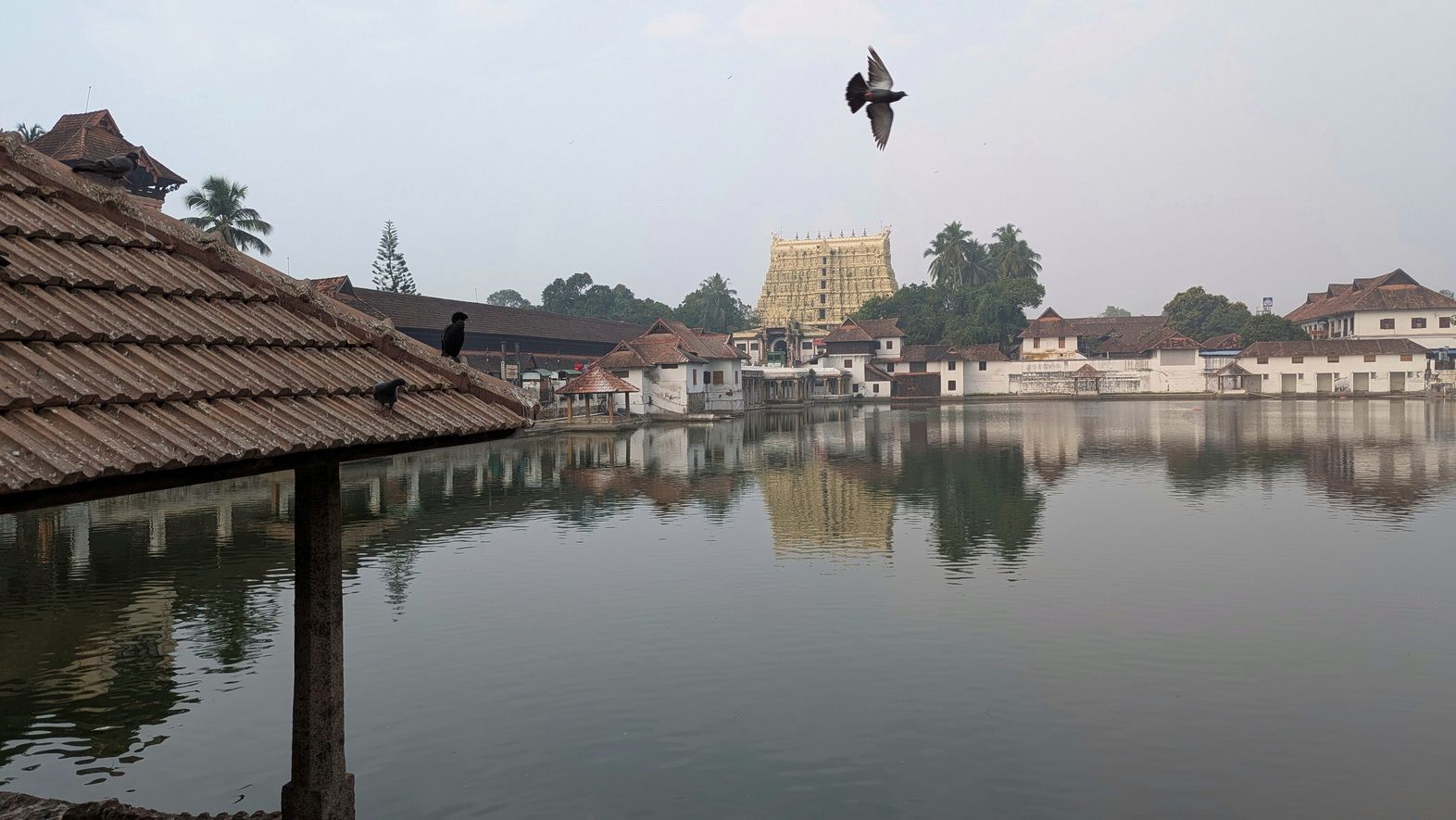 Kolam du Kérala, " Concours à Thiruvananthapuram, la cité du Seigneur Anantha "